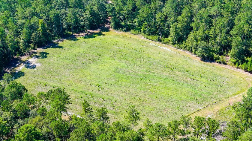 Hidden Lake Retreat consists of 2 large tracts of investment- - photo 30