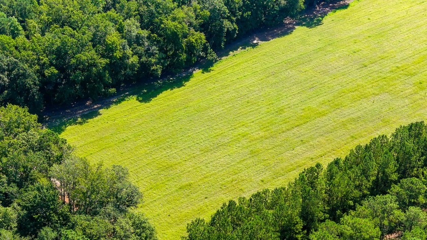 Hidden Lake Retreat consists of 2 large tracts of investment- - photo 42
