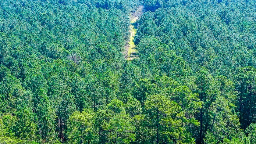 Hidden Lake Retreat consists of 2 large tracts of investment- - photo 44