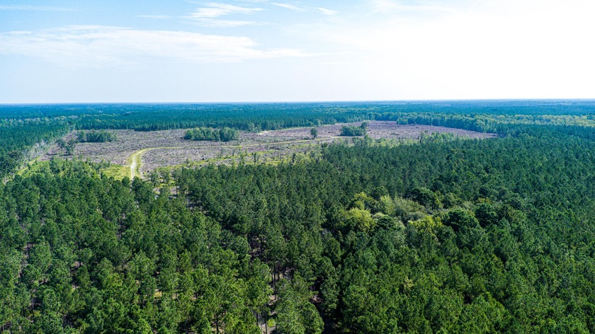 Hidden Lake Retreat consists of 2 large tracts of investment- - photo 45