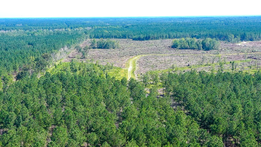 Hidden Lake Retreat consists of 2 large tracts of investment- - photo 47