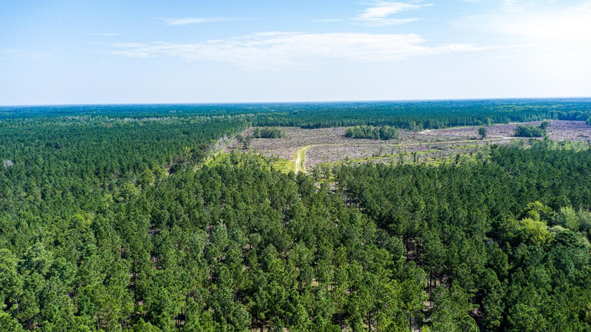 Hidden Lake Retreat consists of 2 large tracts of investment- - photo 49