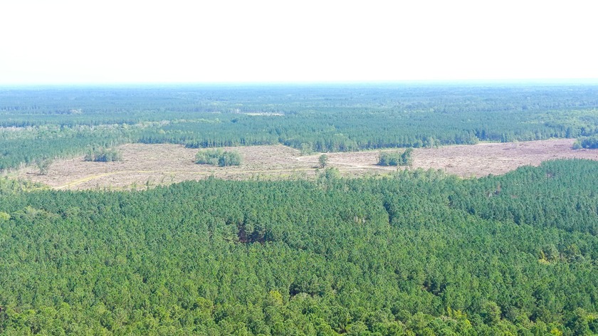 Hidden Lake Retreat consists of 2 large tracts of investment- - photo 51