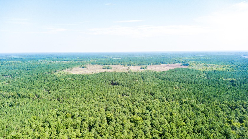 Hidden Lake Retreat consists of 2 large tracts of investment- - photo 52