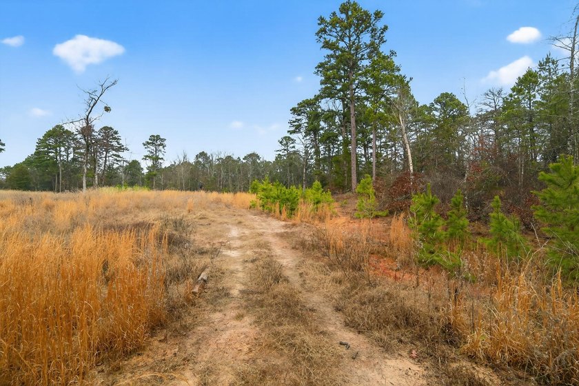 Unrestricted East Texas acreage where your imagination gets to - photo 12