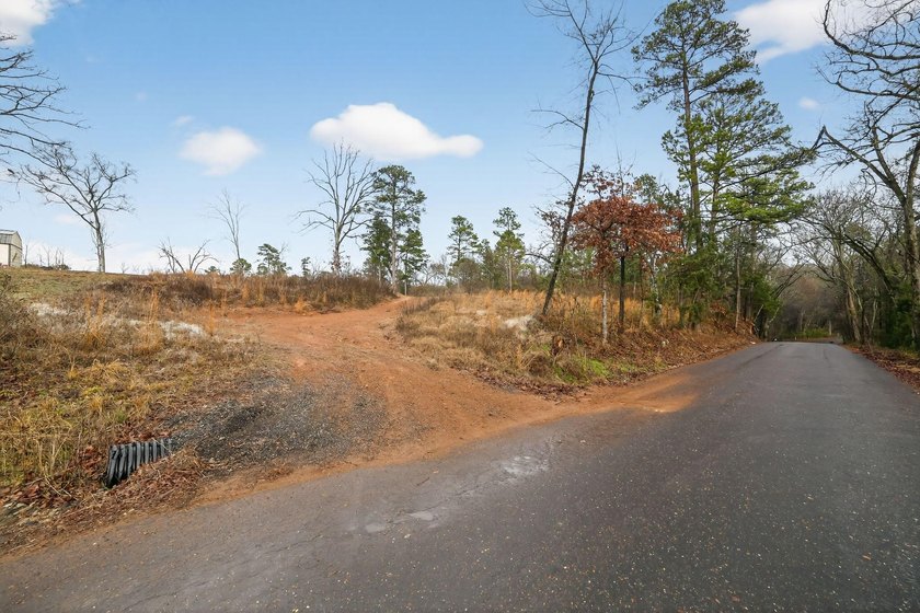 Unrestricted East Texas acreage where your imagination gets to - photo 14