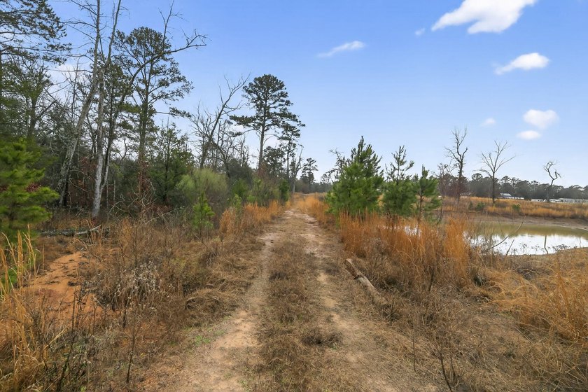 Unrestricted East Texas acreage where your imagination gets to - photo 20