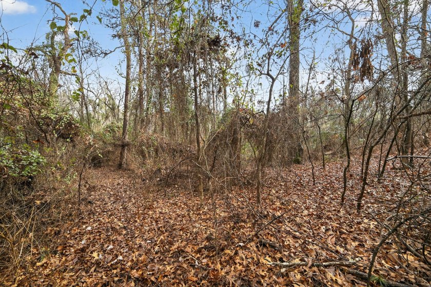 Unrestricted East Texas acreage where your imagination gets to - photo 21