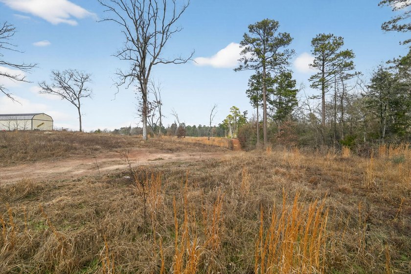 Unrestricted East Texas acreage where your imagination gets to - photo 25