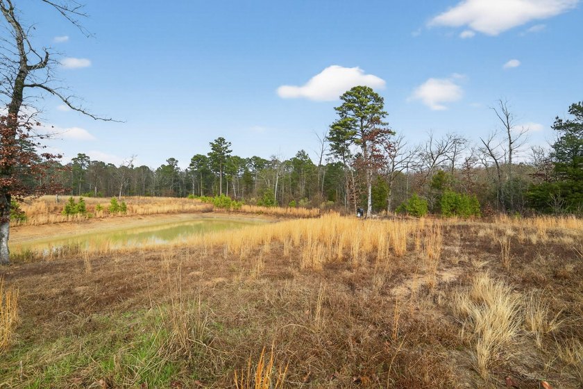 Unrestricted East Texas acreage where your imagination gets to - photo 26