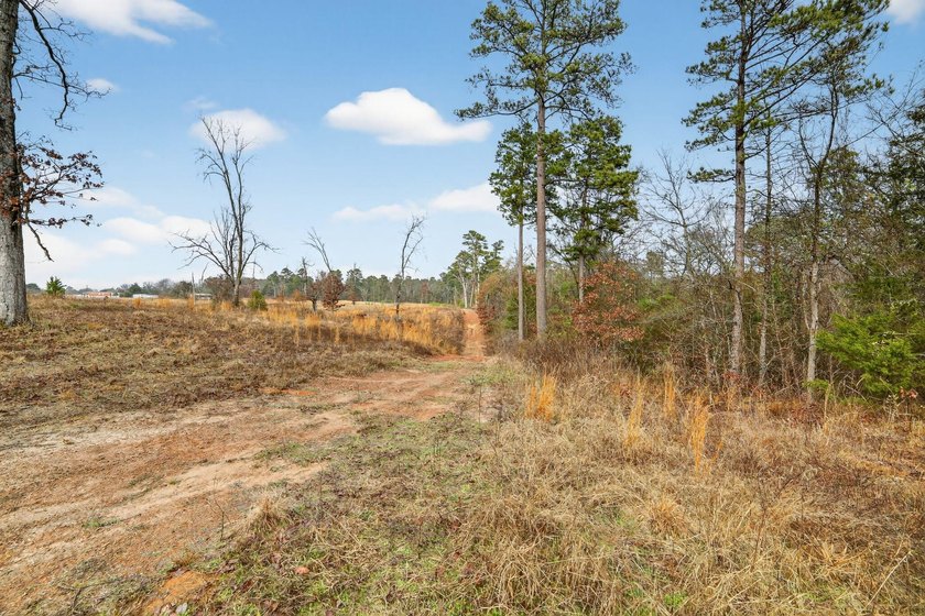Unrestricted East Texas acreage where your imagination gets to - photo 29