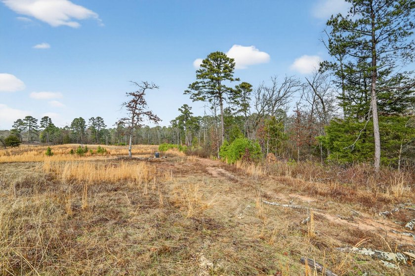 Unrestricted East Texas acreage where your imagination gets to - photo 31