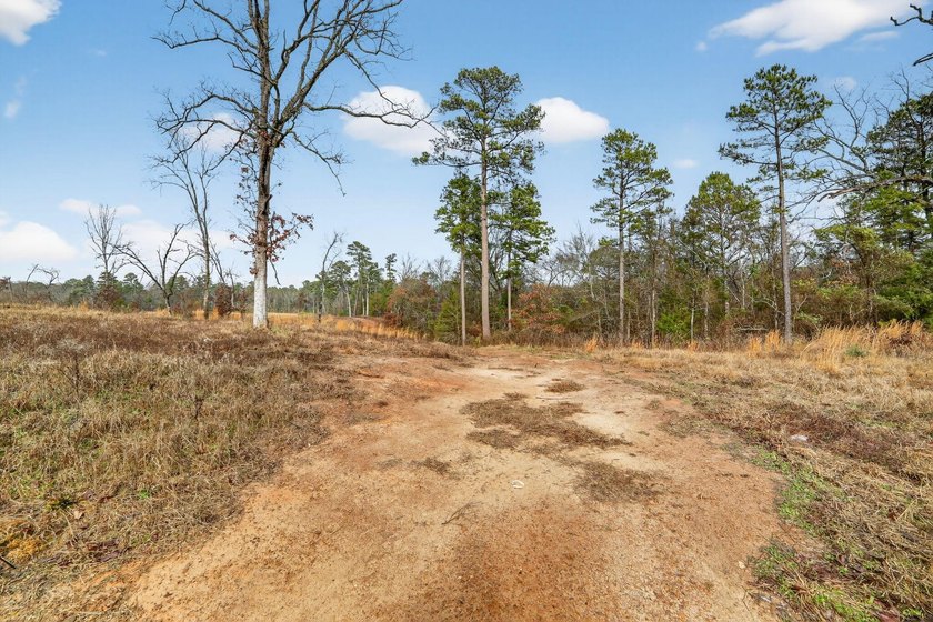 Unrestricted East Texas acreage where your imagination gets to - photo 32