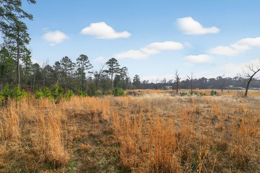 Unrestricted East Texas acreage where your imagination gets to - photo 33