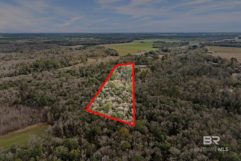 Discover the possibilities with this 5.8+/- acre parcel located - photo 3