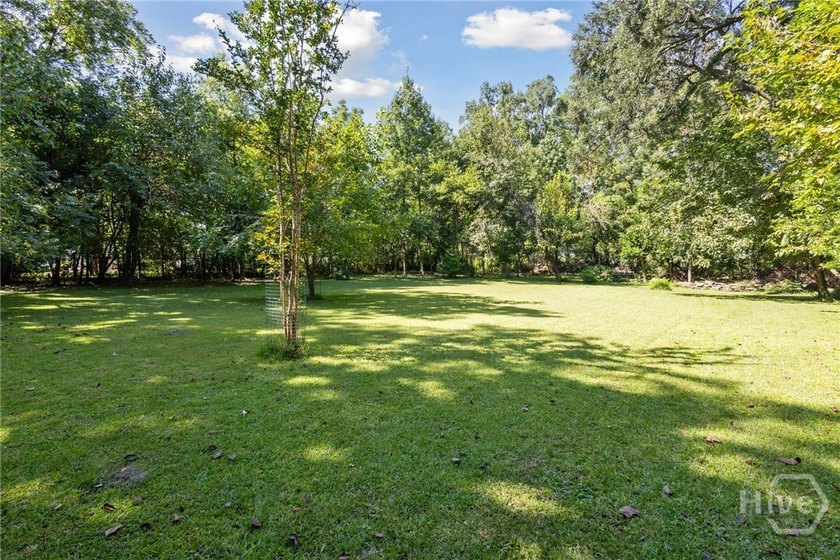 91 ACRES ZONED R-I-N LOCATED DIRECTLY ACROSS FROM THE GEORGIA - photo 11