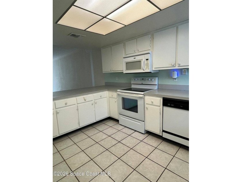 You don't want to miss this spacious condo located in the heart - photo 3