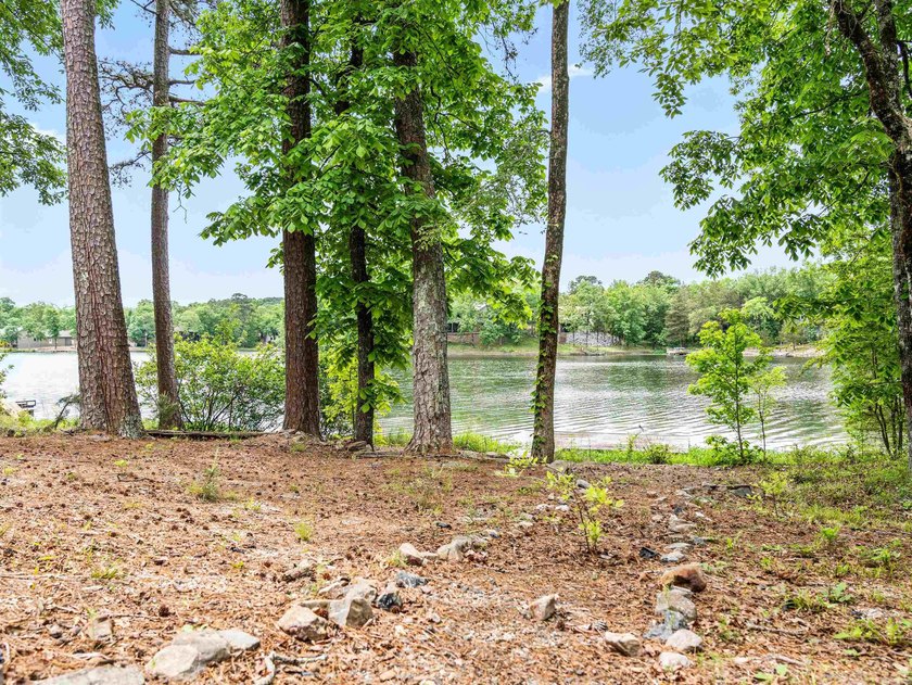 3 BED 3 BATH LAKE FRONT HOME WITH A SWIM DOCK! FISH OR SWIM - photo 47