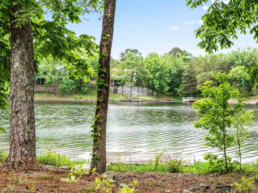 3 BED 3 BATH LAKE FRONT HOME WITH A SWIM DOCK! FISH OR SWIM - photo 48