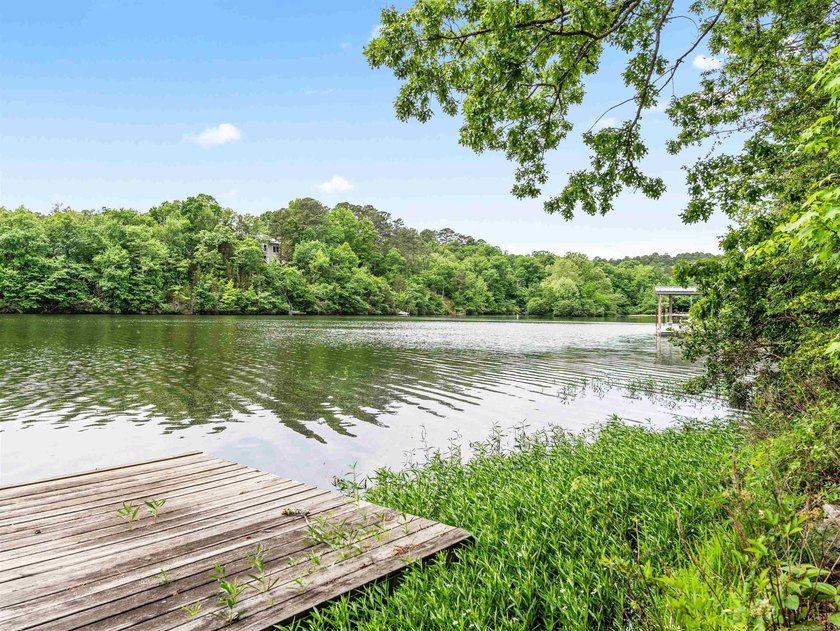 3 BED 3 BATH LAKE FRONT HOME WITH A SWIM DOCK! FISH OR SWIM - photo 49