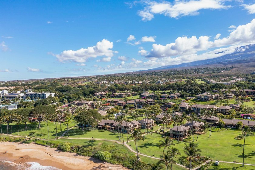 Welcome to Wailea Elua, an exclusive oceanfront, hotel-zoned - photo 30