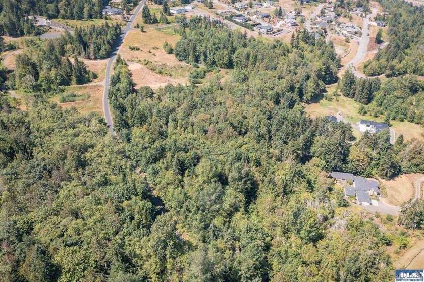 AREA OF TREES REMOVED OPENING UP VIEW ON 8/1/24! Usable acreage - photo 3