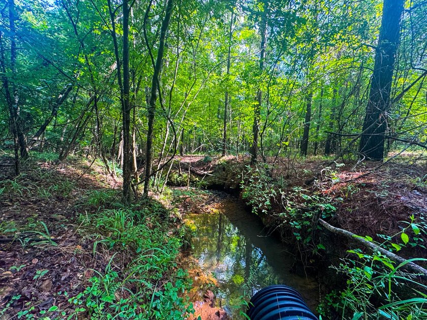 80+/- acres of thick, game-rich hardwoods and pines fronting Hwy - photo 10