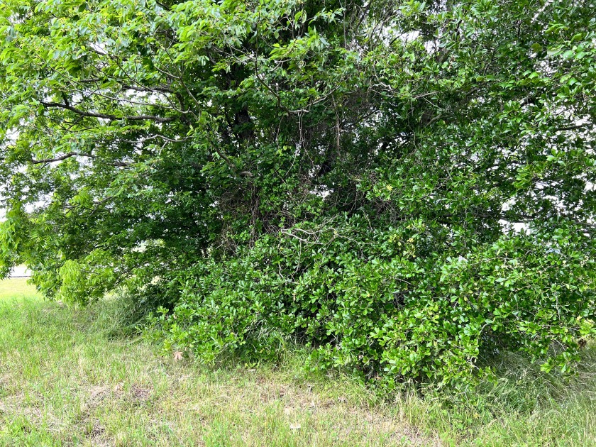 Great 1 acre lot in gated subdivision on Richland Chambers Lake! - photo 6