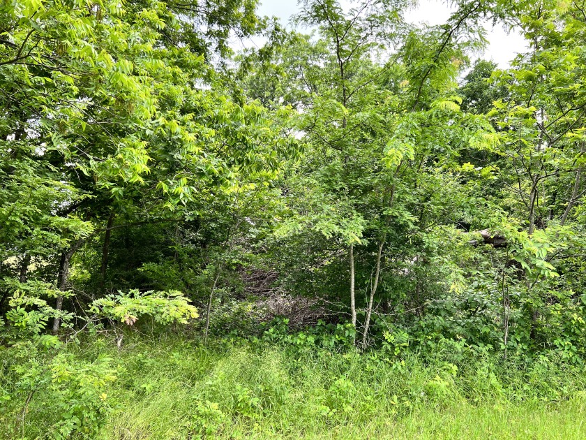 Great 1 acre lot in gated subdivision on Richland Chambers Lake! - photo 2