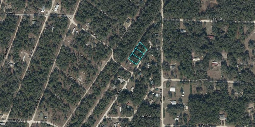 A 3 ADJACENT VACANT LOTS IN WILLISTON IN LEVY - photo 2