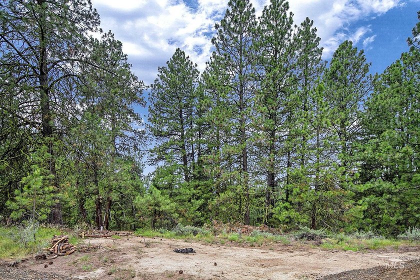 Looking for an exceptional mountain setting to create lasting - photo 3