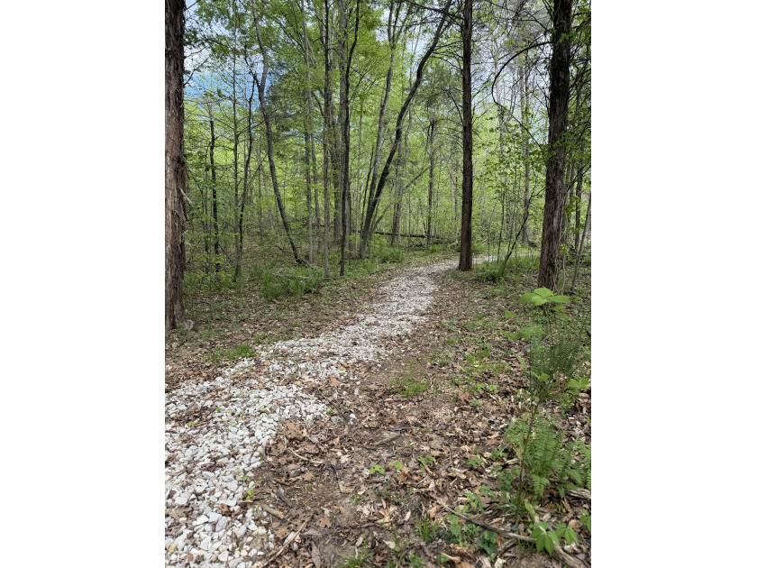 Unrestricted, Lakefront Tiny Home on 5.74 acres! - photo 22