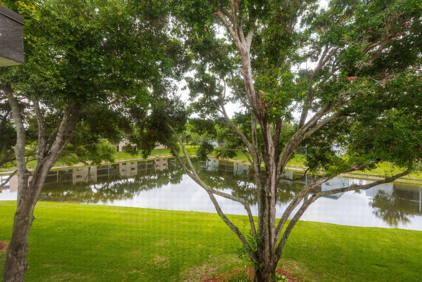 Experience the pinnacle of lakeside luxury in this beautifully - photo 24