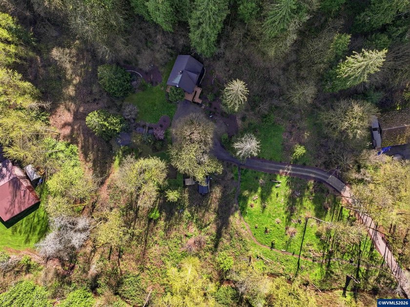 A custom chalet-style home surrounded by natural forest on - photo 41