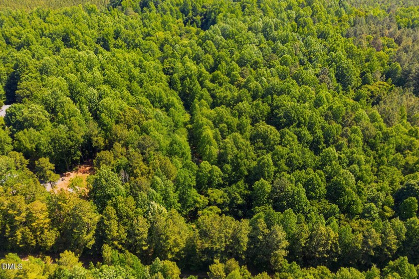 Magical treehouse retreat just minutes from downtown Pittsboro - photo 43