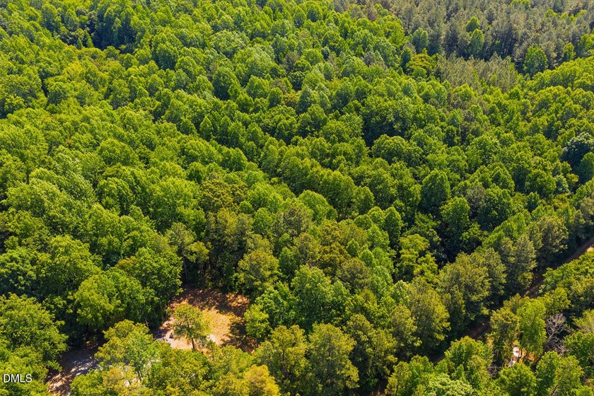 Magical treehouse retreat just minutes from downtown Pittsboro - photo 44