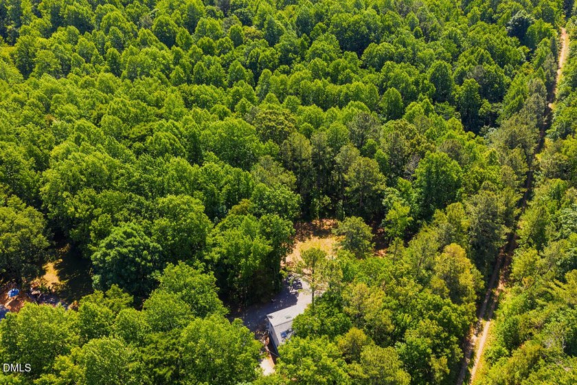 Magical treehouse retreat just minutes from downtown Pittsboro - photo 45