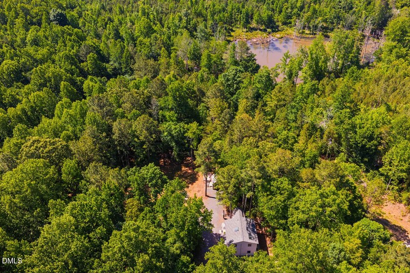Magical treehouse retreat just minutes from downtown Pittsboro - photo 46