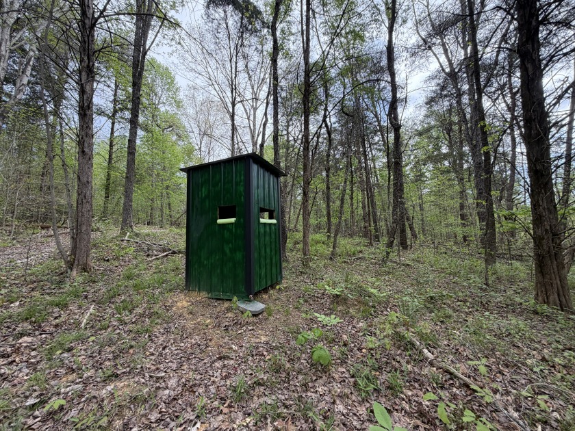 Unrestricted, Lakefront Tiny Home on 5.74 acres! - photo 23