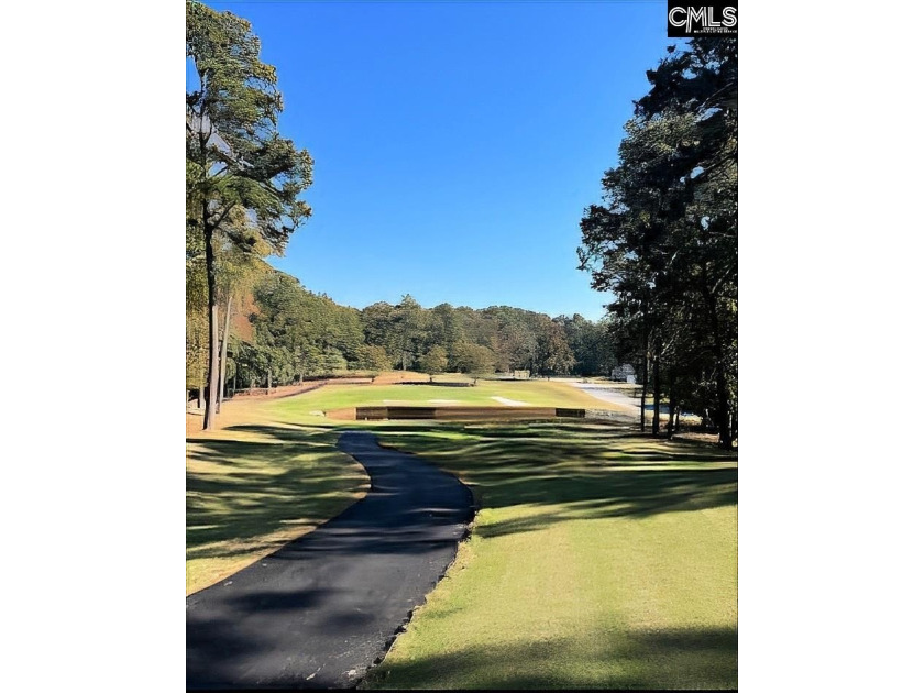 This golf course lot #5 is for sale along the #12 signature hole - photo 3