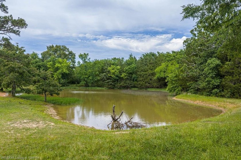 Welcome to this extraordinary 101-acre estate at 4032 Merlin's - photo 46