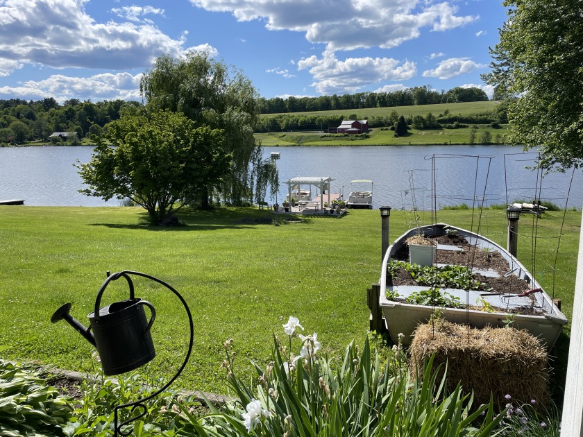 Back yard - photo 23