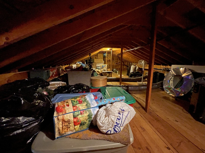 Walk-up attic. Very accessible. - photo 20