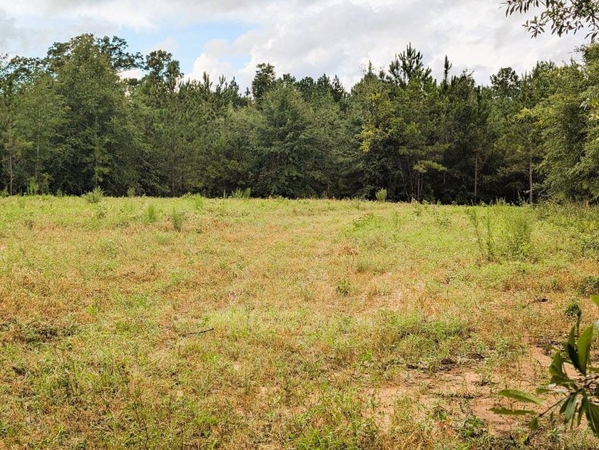 Chattahoochee Mini Farm Chattahoochee Mini Farm is located in - photo 12
