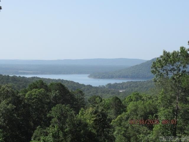 WHAT A VIEW OF GREERS FERRY LAKE! You'll want to see this nearly - photo 25