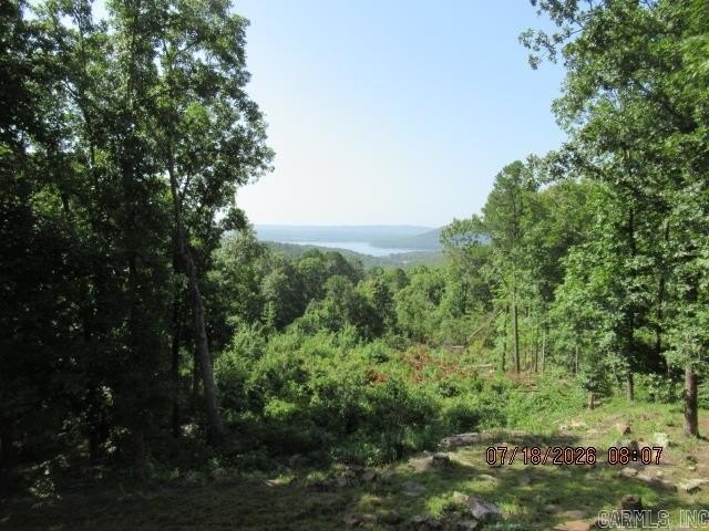 WHAT A VIEW OF GREERS FERRY LAKE! You'll want to see this nearly - photo 26