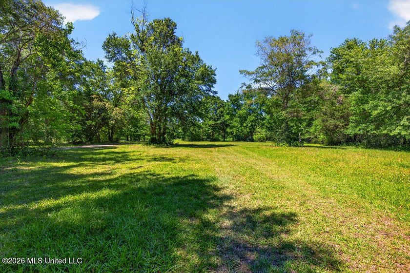 Gorgeous Acreage * Partially Cleared * Residential Estate Zoning - photo 11