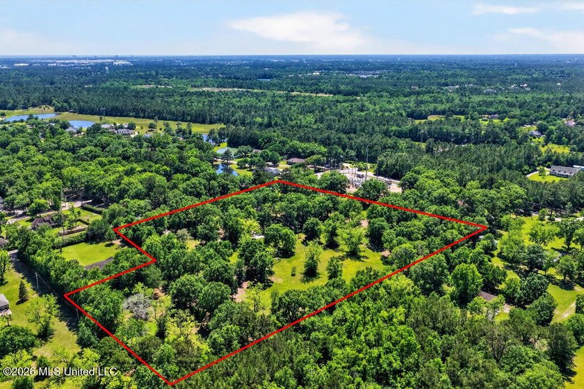Gorgeous Acreage * Partially Cleared * Residential Estate Zoning - photo 15