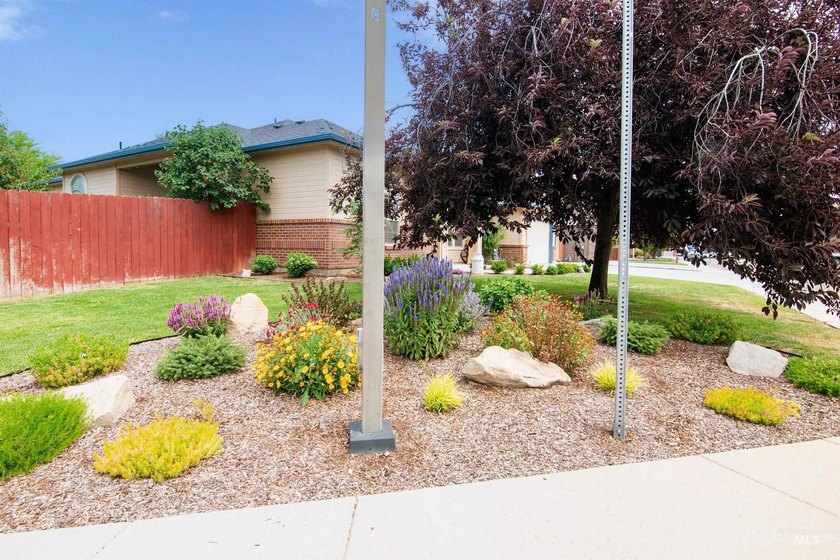 SPECIAL UPGRADE INCLUDED: Professional exterior house and - photo 5