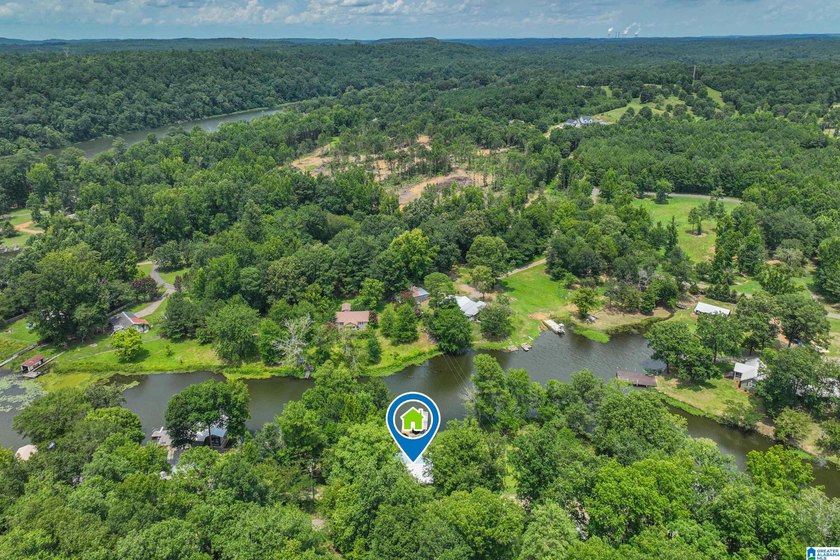 Outstanding Waterfront Cabin Retreat on Glaze Creek! Experience - photo 43